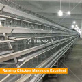 Hot Selling A Frame Automatic Poultry Equipment for Layer